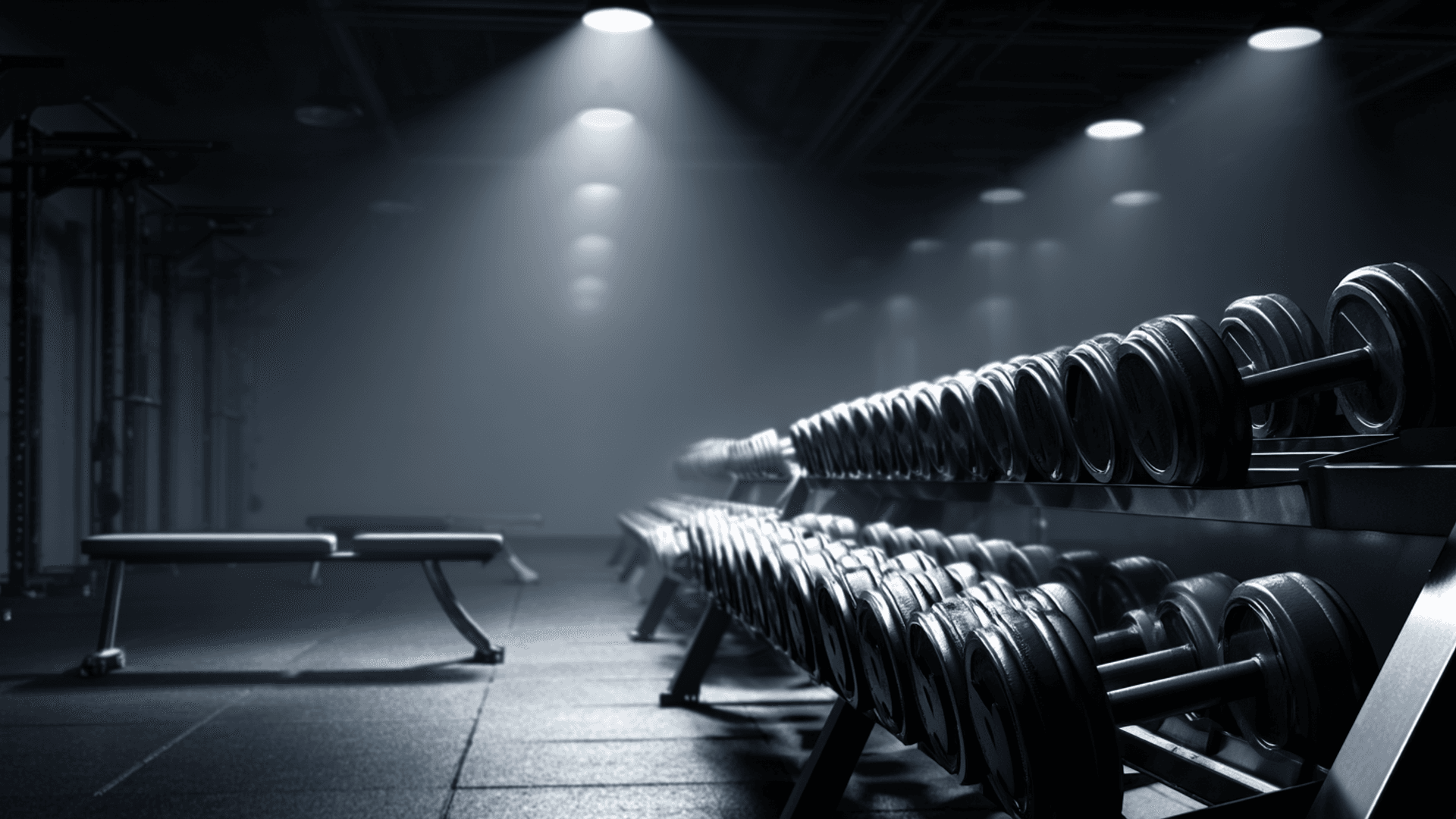 r/fitness Basic Beginner routine